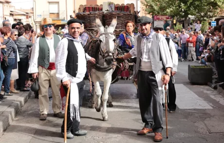 Fiesta de la Vendimia de Toro 2025