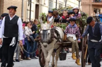 Desfile de Carros Tradicionales