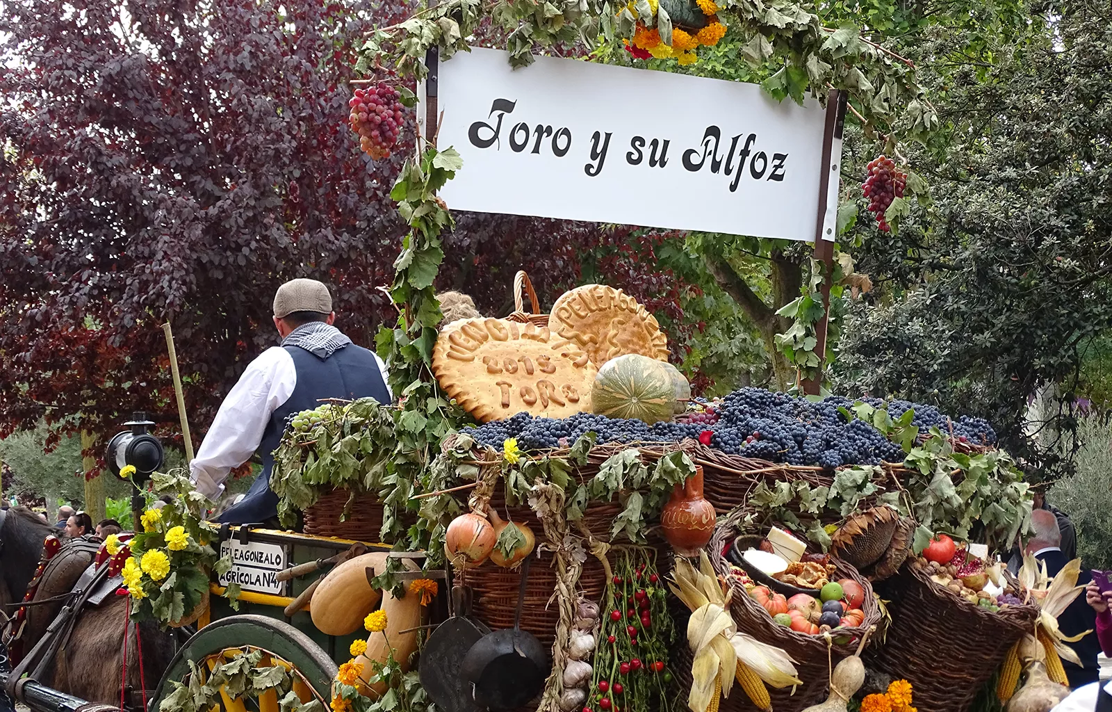 Toro se prepara para la Fiesta de la Vendimia: historia, vino y tradición